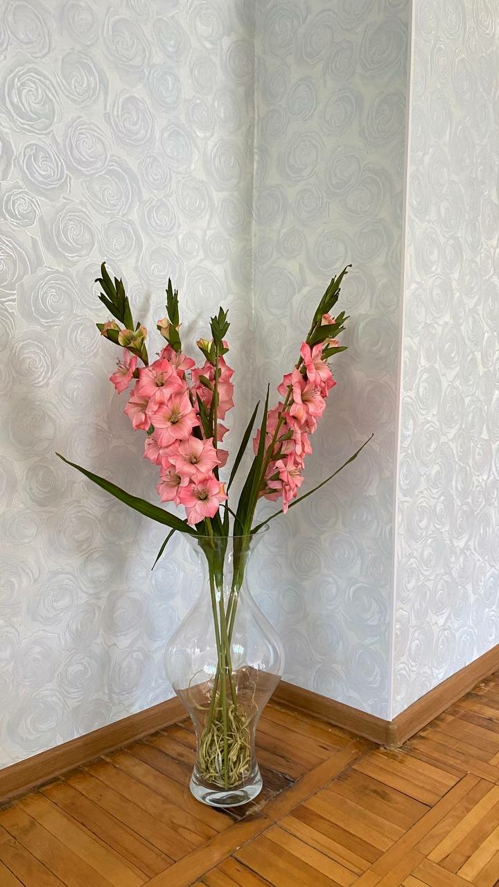 Гостиница Никопол Шахты-57