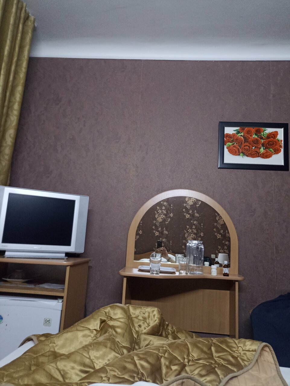 Гостиница Никопол Шахты-225