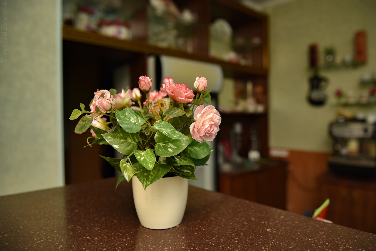 Гостиница Никопол Шахты-73