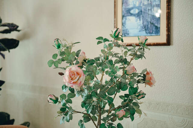 Гостиница Никопол Шахты-87